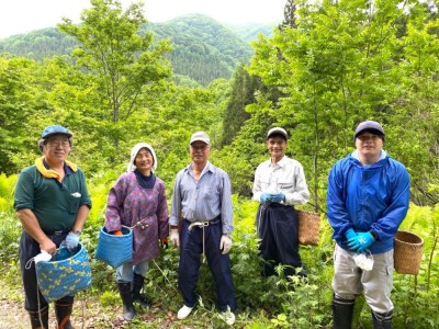 期間限定 杵づき白川郷のとちもち Bセット 栃もち 草餅 よもぎ 餅 白川郷合掌造り民家園 焼餅 ぜんざい 雑煮 ギフト 贈答用 観光地応援 11000円 [S056]