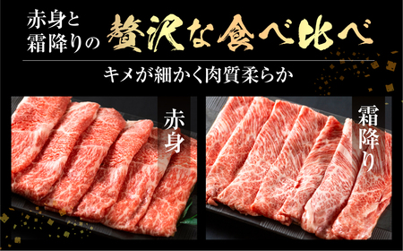 飛騨牛 すき焼き 食べ比べ 1kg (500g×2）肩 ロース 肉 もも 赤身 霜降り すきやき しゃぶしゃぶ 霜降り 飛騨 鍋 家族 友人と 牛肉 国産 岐阜県 黒毛和牛 和牛 A4 贅沢 祝 プレゼント 冷凍 人気 おすすめ ランキング お歳暮 敬老の日 ギフト JA ひだ [S114]