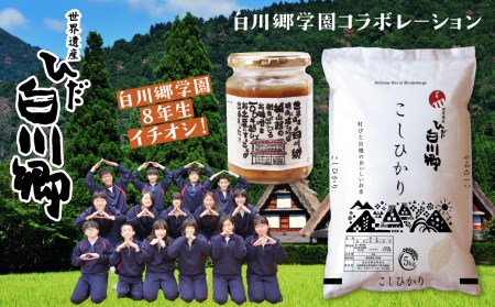 白川郷こしひかり 5kg 城山館の自家製味噌 250g セット 同日お届け コシヒカリ ご飯のお供 S161 岐阜県白川村 ふるさと納税サイト ふるなび