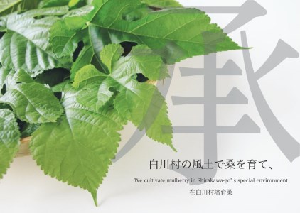 白川郷シルク石鹸（レギュラー) 80g×3／白川郷で生産した繭を使ったお肌に優しい洗顔石鹸 43000円 [S171]