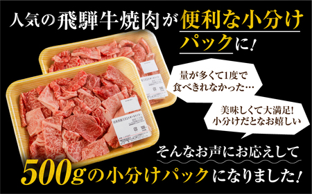 飛騨牛 焼き肉用 1㎏ 切り落とし 牛肉 肉 バーベキュー セット 和牛 焼肉 部位おまかせ[S201]