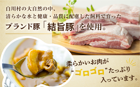 白川郷 結旨豚カレー 5食セット 中辛 レトルト カレー 豚肉 ポークカレー もも肉 バラ肉 食べ比べ セット ゆいうまぶた ブランド豚 吉野ジーピーファーム 国産豚 白川村 10,000円 1万円 [S417] 