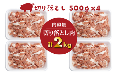 結旨豚 切り落とし 500g×4パック 計2kg 豚肉 ぶた肉 国産肉 小分け 国産豚 白川郷 [S226] 年内配送 年内お届け