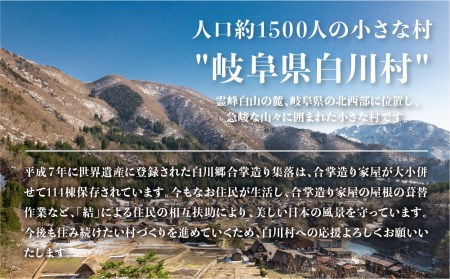 《返礼品なし》100000円 岐阜県白川村への寄附 応援寄附金 世界遺産 白川郷 [S312]