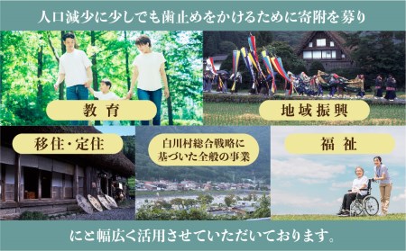 《返礼品なし》100000円 岐阜県白川村への寄附 応援寄附金 世界遺産 白川郷 [S312]