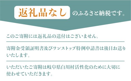 《返礼品なし》100000円 岐阜県白川村への寄附 応援寄附金 世界遺産 白川郷 [S312]