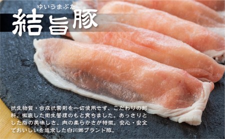 白川郷 ご当地鍋 結旨豚入り すったて鍋 2－3人前 鍋セット 結旨豚 すったて 鍋つゆ きくらげ 麺 鍋キット 深山豆富店 国産大豆 大豆ペースト クリーミー 鍋 具材付 飛騨 白川郷 ご当地 伝統食材 ヘルシー 10000円 [S346]