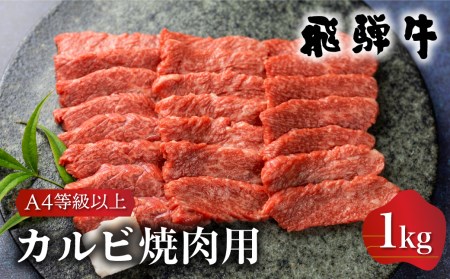 白川郷 飛騨牛 カルビ（バラ肉）焼肉用 1kg 牛肉 国産 焼き肉 A4等級