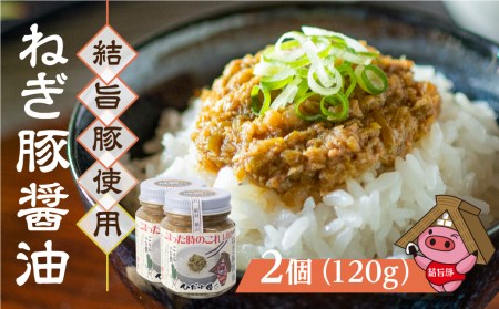 白川郷 結旨豚使用 ねぎ豚醤油 2個 ご飯のお供 国産豚 飛騨ねぎ 調味料 おにぎりの具 具材 白川村 8000円 [S303]