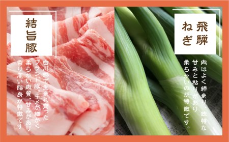 白川郷 結旨豚使用 ねぎ豚醤油 2個 ご飯のお供 国産豚 飛騨ねぎ 調味料 おにぎりの具 具材 白川村 8000円 [S303]