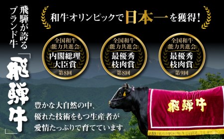 白川郷 飛騨牛 リブロースステーキ 200g×3枚 計600g 牛肉 和牛