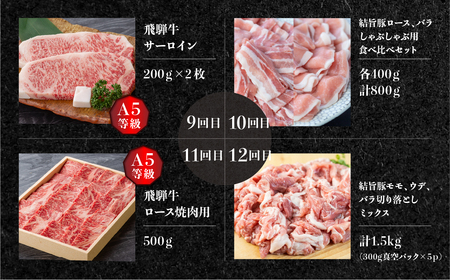 《定期便12回》飛騨牛＆結旨豚　食べきりタイプ スペシャル定期便 12か月 1年間 焼肉 サーロイン ロース モモ すき焼き しゃぶしゃぶ 牛肉 豚肉 国産 焼き肉 赤身 A4 A5 豚肉 バラ ブランド豚 だるまミート 岐阜県 白川村 贅沢 冷凍 210000円 [S409]