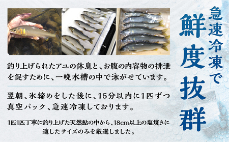 白川村産 飛騨庄川の天然鮎 7尾 18cm以上 350g以上 鮎 天然 あゆ 魚 岐阜県 白川郷 世界遺産 塩焼き BBQ 15000円 [S510] 年内配送 年内お届け