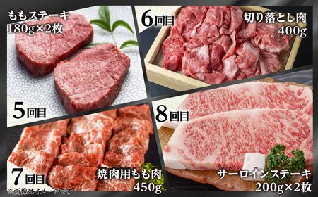 【まるごと定期便】 飛騨牛三昧 全12回 お届け 定期便 [S524]