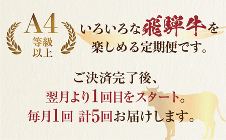 《定期便5回》飛騨牛 バラエティ定期便 [S487]