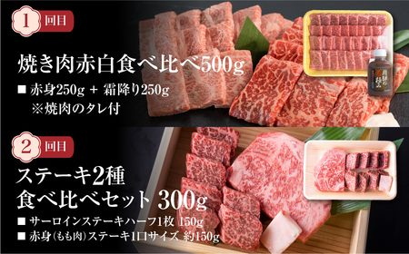 《定期便5回》飛騨牛 バラエティ定期便 [S487]