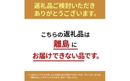 果樹園のジェラート 夏にさっぱりシャーベット6個セット 100ml×6個 冷凍 ギフト アイスクリーム シャーベット□