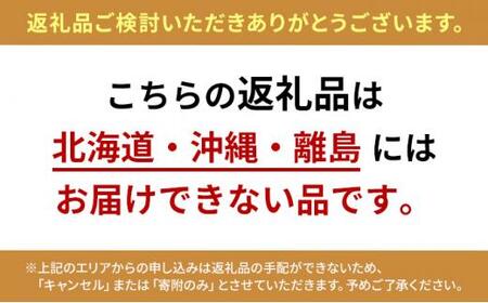 【静岡地ビール】GARCIA BREWINGのランダム6本セット ガルシアブリューイング IPA クラフトビール 飲み比べ◇