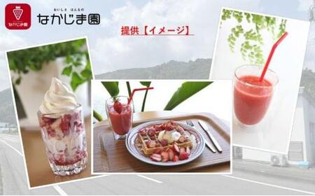 ひんやりイチゴ セット（きらぴ香 冷凍苺 250g×4袋＋苺ジャム チューブ 170g×1個）冷凍 なかじま園 自宅で かき氷 パフェ いちご 苺 国産 フルーツ くだもの◆