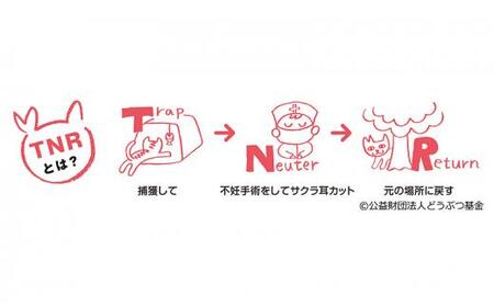 【さくらねこTNR活動支援 】静岡市産 ほうじ茶ティーバッグ 2g 12個入 × 5袋(計60ティーバッグ)◆