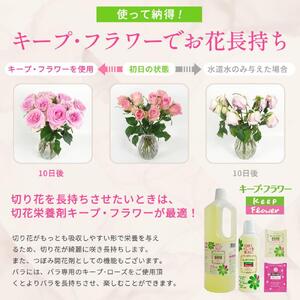 切花栄養剤キープフラワートータルケア３種セット■