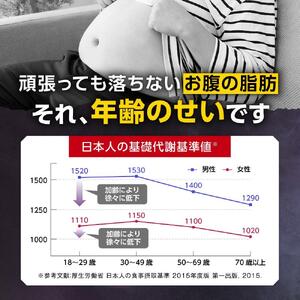 ブラックジンジャー サプリメント フラムジンジャー 機能性表示食品 6袋セット◇