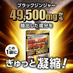 ブラックジンジャー サプリメント フラムジンジャー 機能性表示食品 6袋セット◇