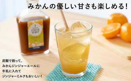ジンジャーシロップ みかん 2本セット◇