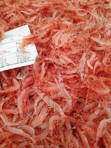 <原藤商店>由比港産 生桜えび 95g×2◆