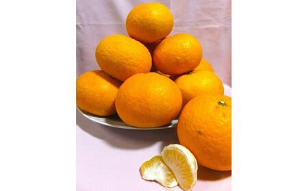 先行受付！訳アリ 清水の早生甘夏みかん　計8kg以上　痛み補償分付き◇