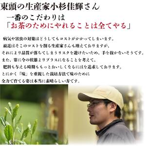 静岡茶 東頭100g 1本入り とうべっとう