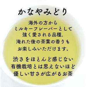 静岡市清水区の有機栽培品種茶2種セット かなやみどり100ｇ さやまかおり100ｇ 静岡茶 静岡県産□