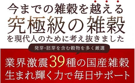 明日への輝き39 穀米ブレンド 4.0kg(400g×10袋)