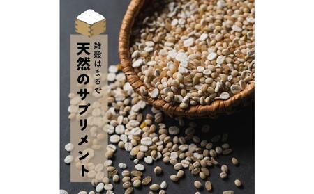 健康重視ヘルシーブレンド 8kg(400g×20袋)