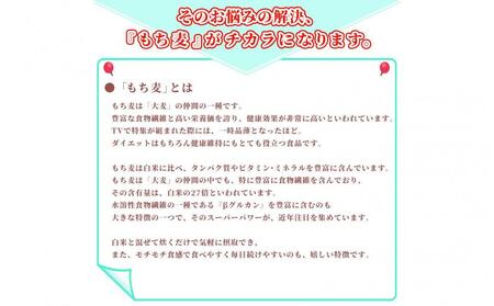 【3ヶ月定期便】もち麦 (400g×2袋)【合計2400g 全6袋】