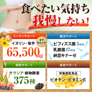 ハルクファクター イヌリン 水溶性 食物繊維 300粒 サプリメント 菊芋 ナットウキナーゼ サラシア ビフィズス菌 乳酸菌 配合◇