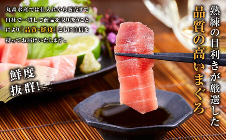 天然バチまぐろ 中トロ 1kg◇