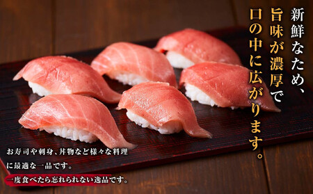 天然バチまぐろ 中トロ 1kg◇