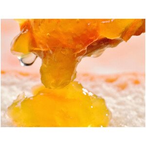 柑橘農家手作り! 無添加柑橘ジャム 4種食べ比べセット フルーツ 柑橘 オレンジ◇