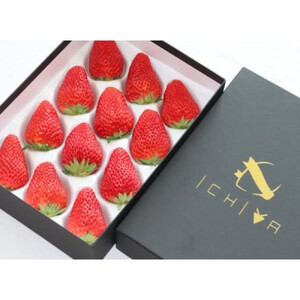 4%の奇跡!【贈答用】静岡県産いちご 紅ほっぺ 500g×1パック(9~15粒) 冷蔵配送【北海道・沖縄・離島 配送不可】 苺 フルーツ◇