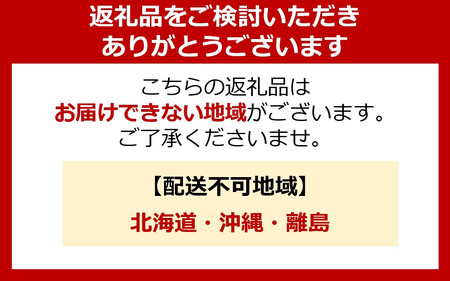 4%の奇跡!【贈答用】静岡県産いちご 紅ほっぺ 500g×1パック(9~15粒) 冷蔵配送【北海道・沖縄・離島 配送不可】 苺 フルーツ◇