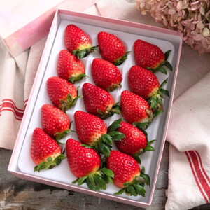 【ギフトBOX入り】大粒静岡いちご ギフトボックス入り（すず／おいCベリー 約500g・農園厳選） 冷蔵 苺 フルーツ◇