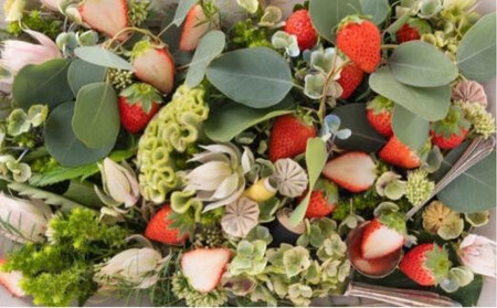 【ギフトBOX入り】大粒静岡いちご ギフトボックス入り（すず／おいCベリー 約500g・農園厳選） 冷蔵 苺 フルーツ◇