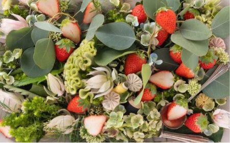 【先行予約】ふるさと納税限定 静岡いちご 食べ比べセット(すず&おいCベリー/500g以上)冷蔵 苺 フルーツ◇