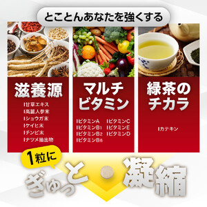 BIOVITAL（ビオバイタル） 免疫ケア サプリメント シールド乳酸菌 酢酸菌GK1 機能性表示食品 3袋（3ヶ月分）