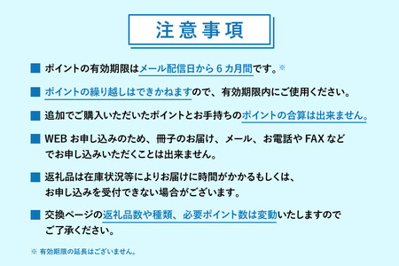 【静岡市】あとから選べるWEBカタログギフト（寄附10万円コース）30000ポイント｜寄附した後にゆっくり返礼品が選べて便利！対象返礼品続々追加中［ 静岡 カタログポイント 有効期限6か月 対象商品続々追加中 人気 おすすめ 旅行 ホテル レストラン お肉 お酒 スイーツ ファッション 美容 インテリア 家具 アクセサリー  スポーツ アウトドア ふるさと納税 ］