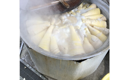 【2026年4月以降順次発送】新鮮即茹で!筍水煮 150g×8袋セット□