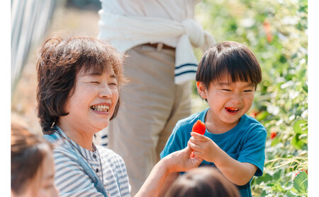 【2026年1月より順次発送】静岡特産・石垣苺　2L～4Lミックス 約280g×2パック★紅ほっぺ