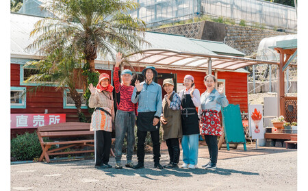 【2026年1月より順次発送】静岡特産・石垣苺　2L～4Lミックス 約280g×2パック★紅ほっぺ