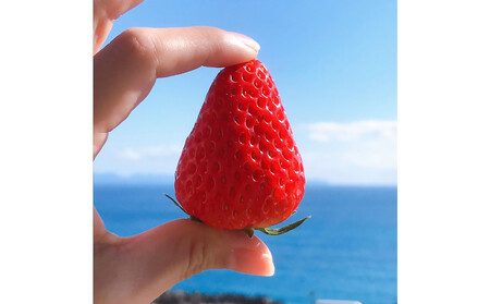 【2026年1月より順次発送】静岡特産・石垣苺　2L～4Lミックス 約280g×2パック★紅ほっぺ